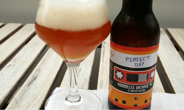 Hommeles Perfect Day